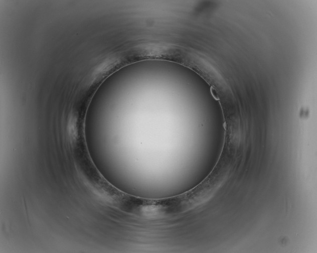 X0000097620216200802291333