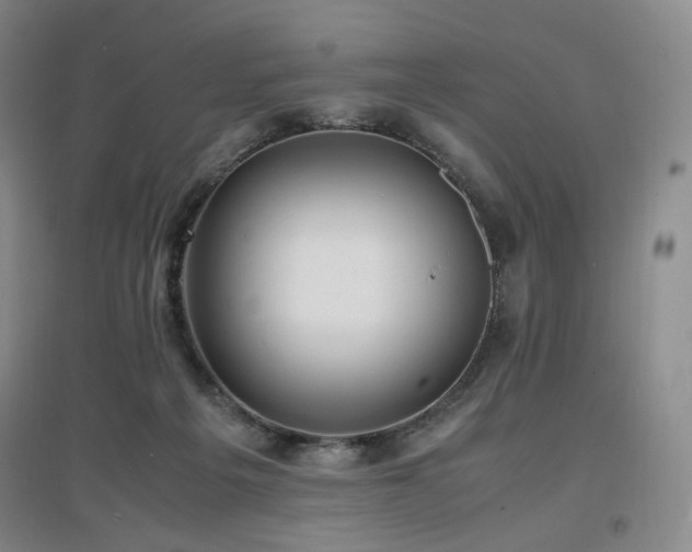 X0000097620217200802291333