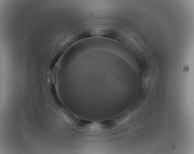 X0000097620219200802291333