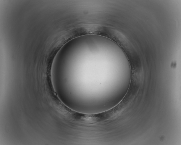 X0000097620221200802291333