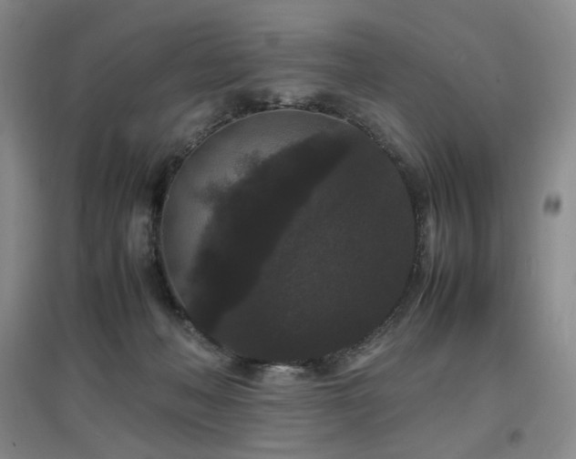 X0000097620222200802291333