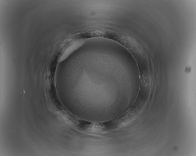 X0000097620223200802291333