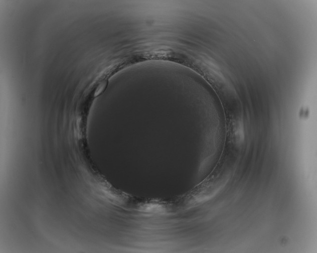 X0000097620224200802291333