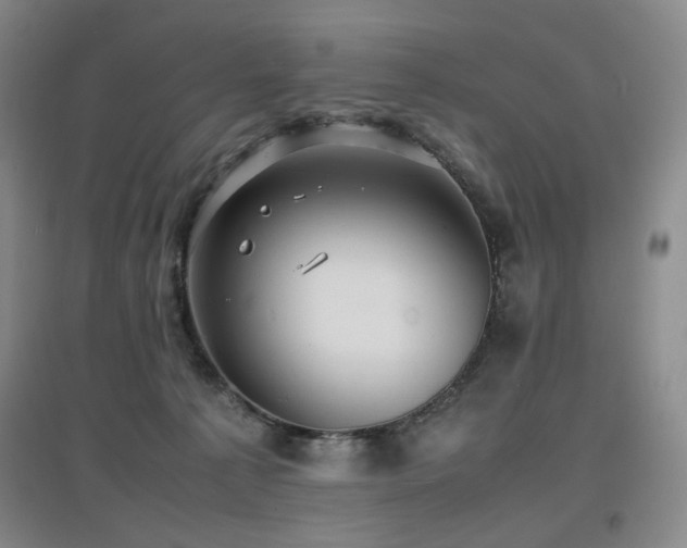 X0000097620225200802291333