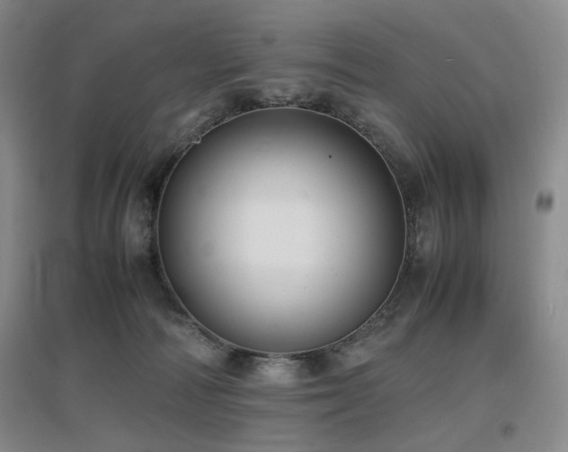 X0000097620226200802291333