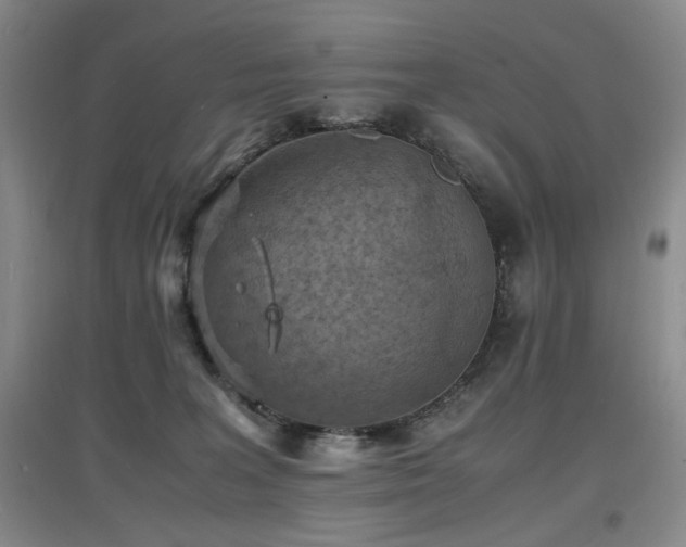 X0000097620227200802291333