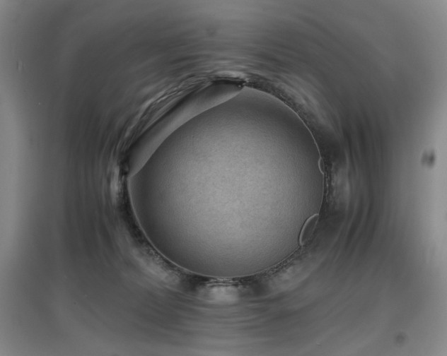 X0000097620228200802291333