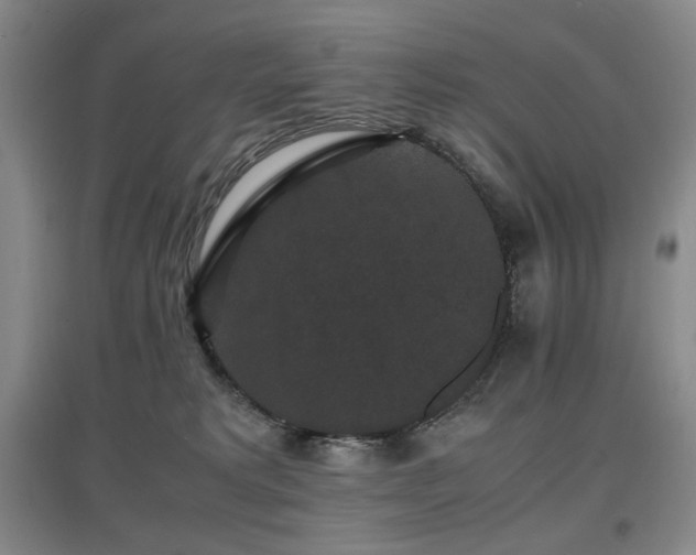 X0000097620229200802291333
