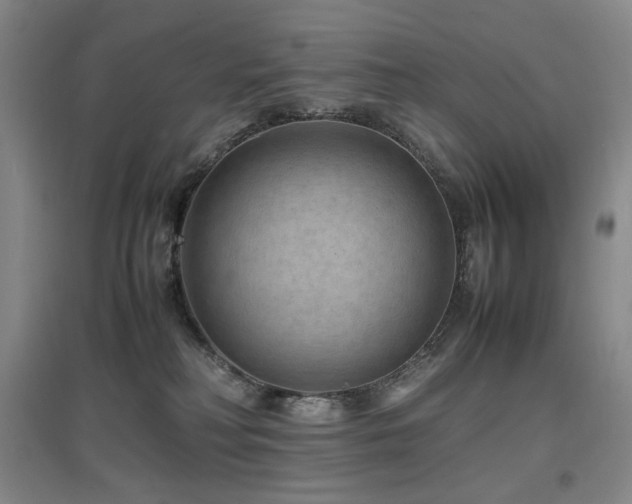 X0000097620230200802291333