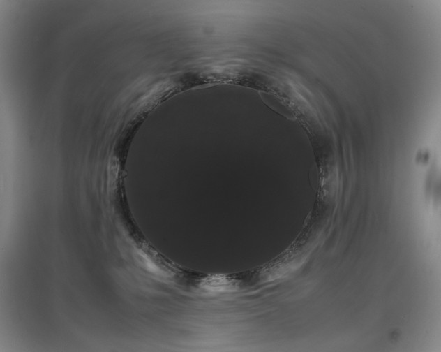 X0000097620231200802291333