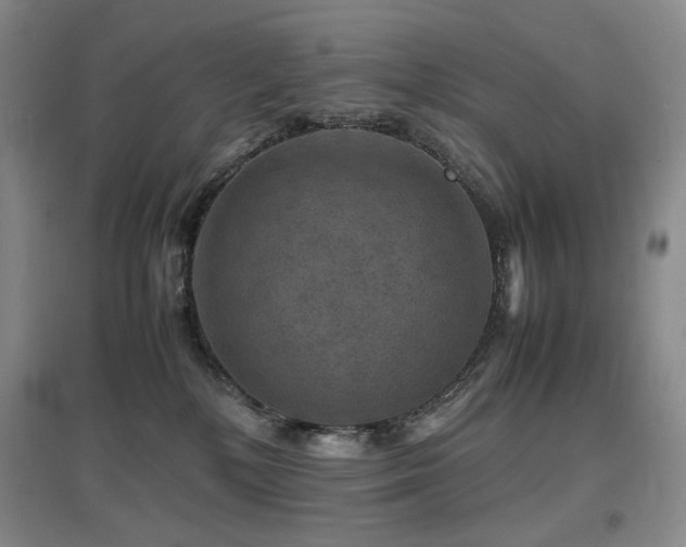 X0000097620232200802291333