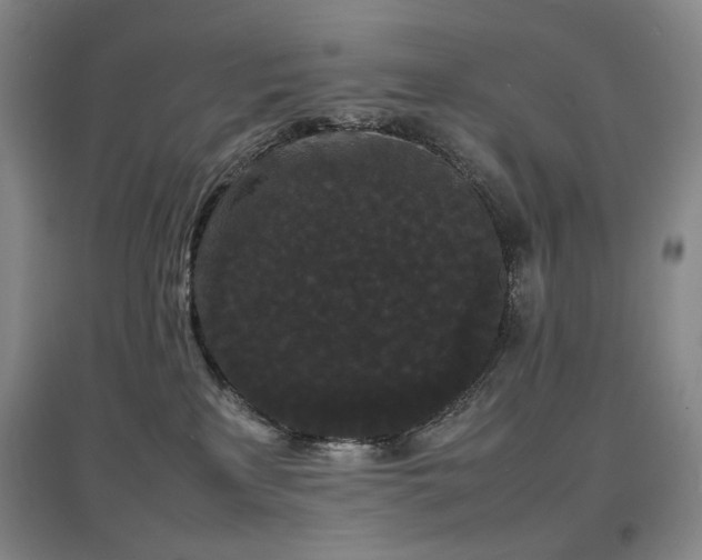 X0000097620233200802291333