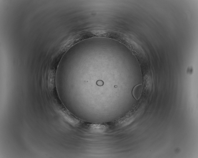X0000097620234200802291333