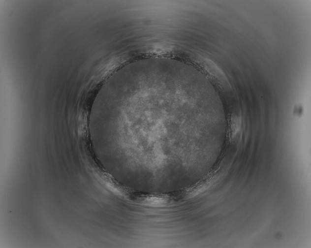 X0000097620236200802291333