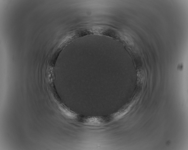 X0000097620237200802291333