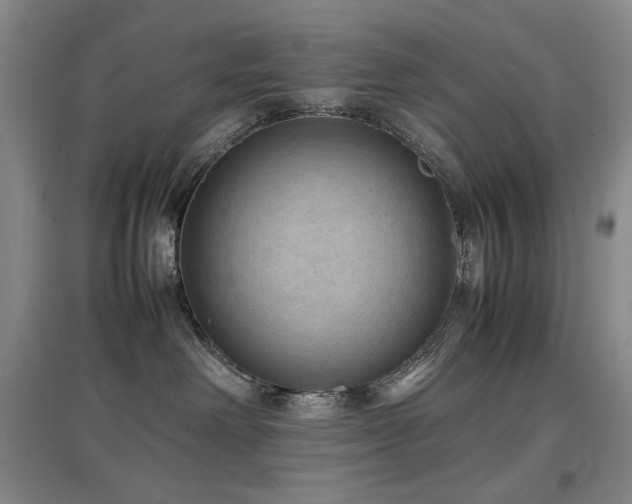 X0000097620238200802291333