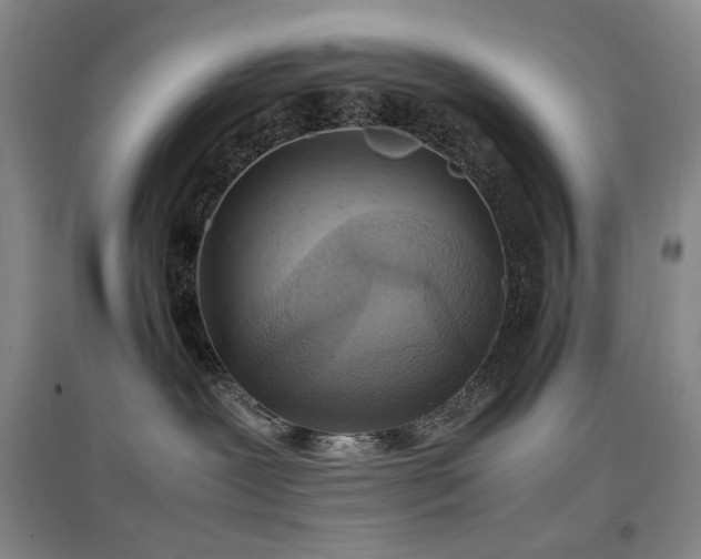 X0000097620239200802291333