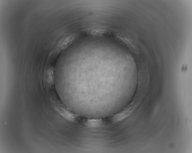X0000097620240200802291333