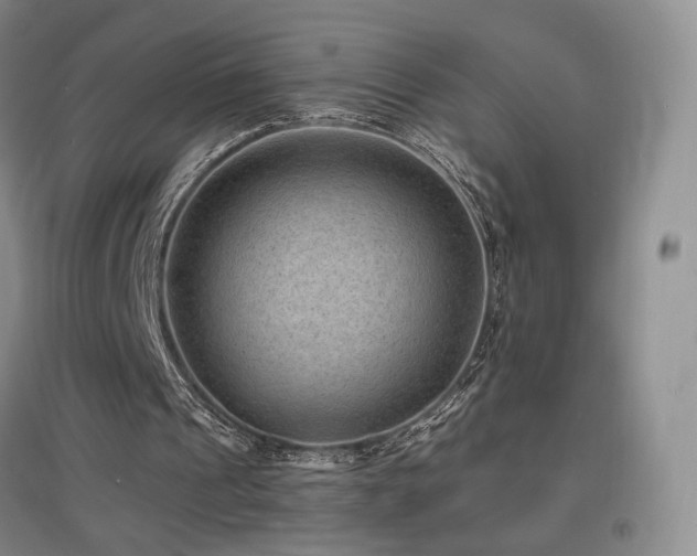 X0000097620241200802291332