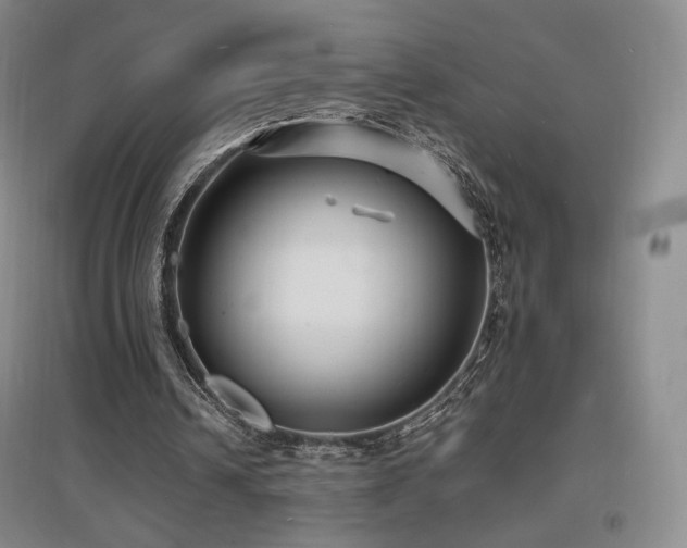 X0000097620242200802291332