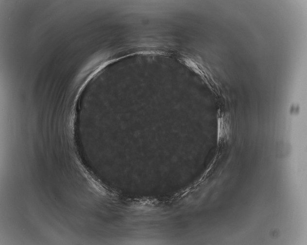 X0000097620243200802291332