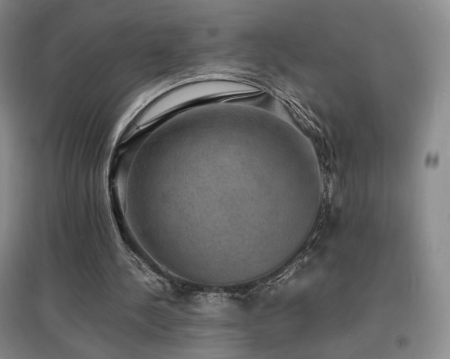 X0000097620244200802291332