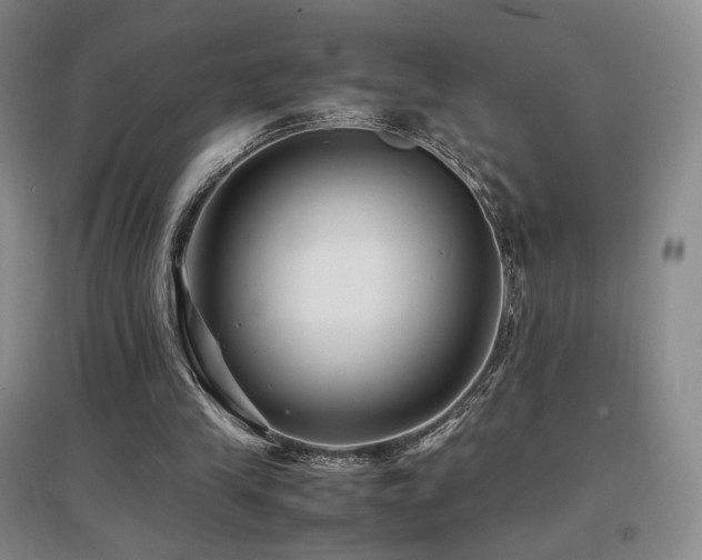 X0000097620245200802291332