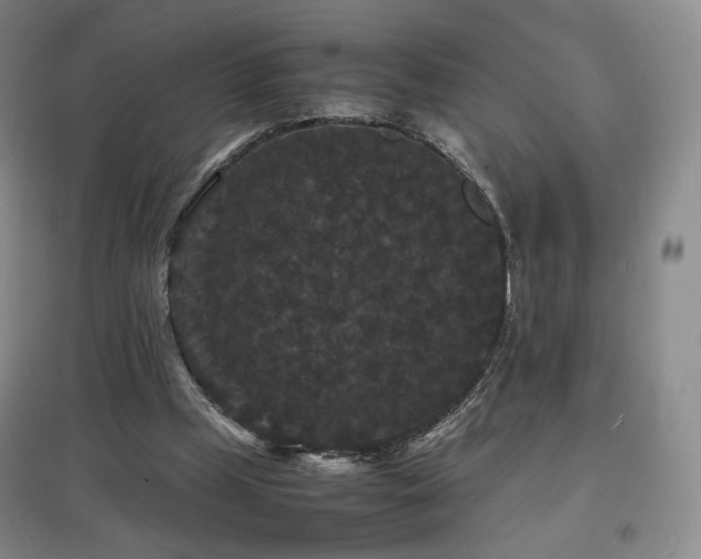 X0000097620249200802291332