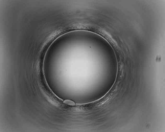 X0000097620250200802291332