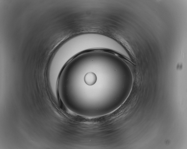 X0000097620251200802291332