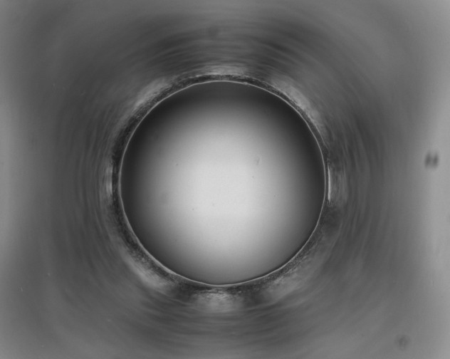 X0000097620253200802291333