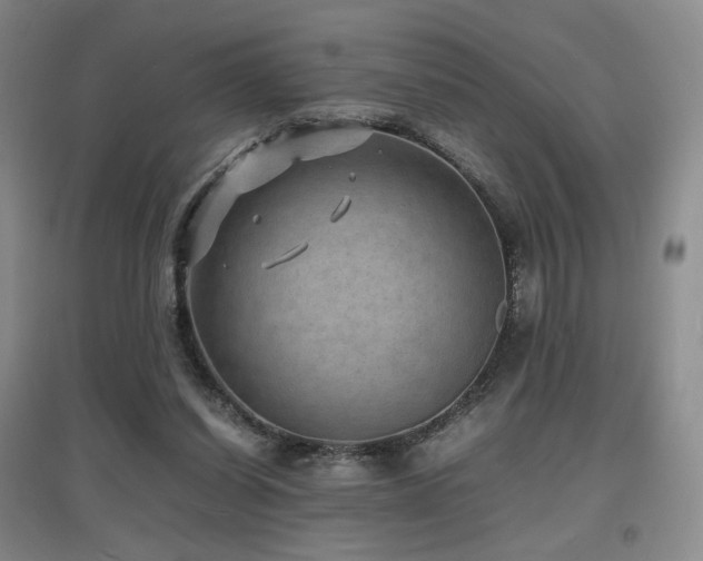 X0000097620254200802291333