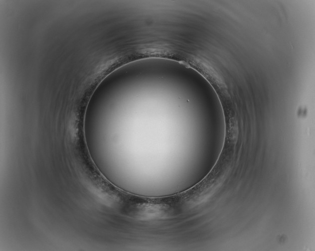 X0000097620255200802291333