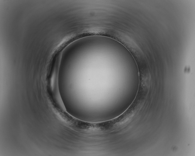 X0000097620256200802291333