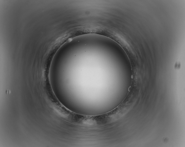 X0000097620258200802291333