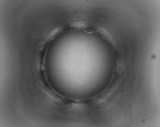 X0000097620259200802291333