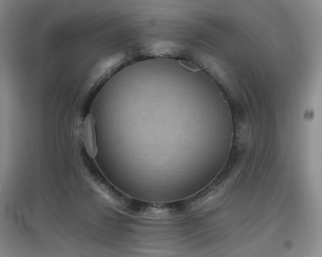 X0000097620260200802291333