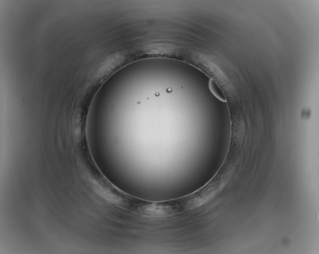 X0000097620261200802291333