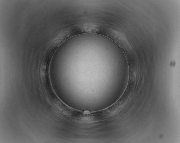 X0000097620263200802291333
