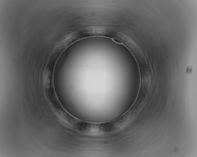 X0000097620264200802291333