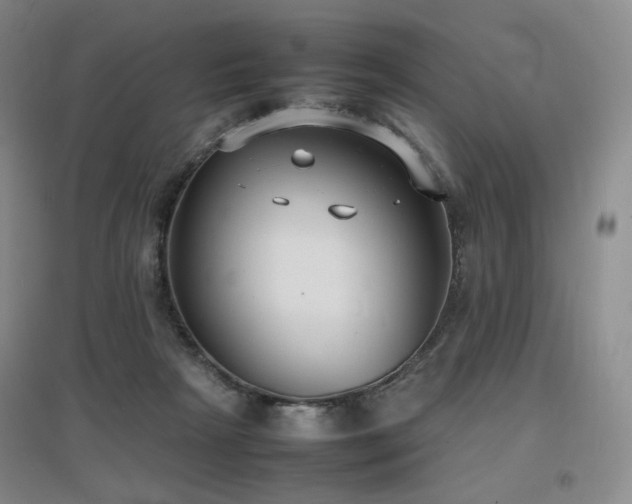 X0000097620265200802291333