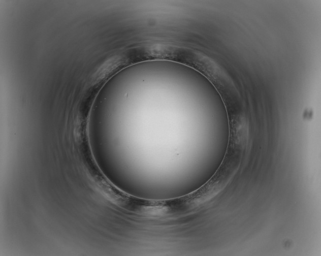 X0000097620266200802291333