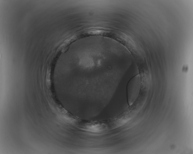 X0000097620267200802291333