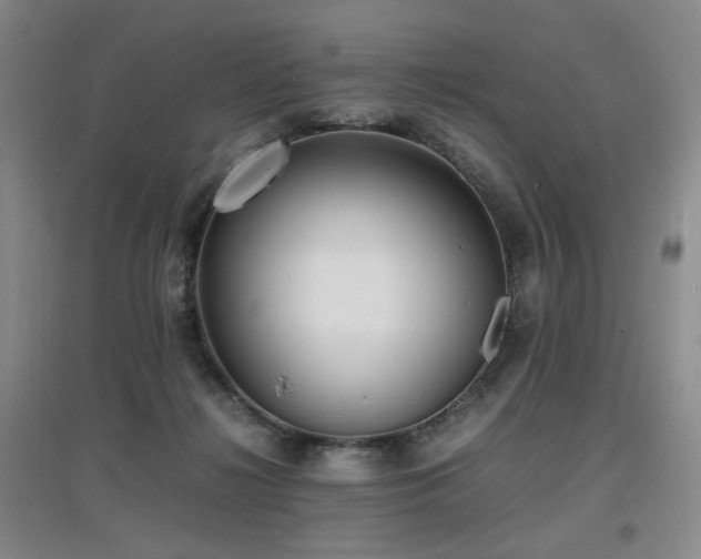 X0000097620268200802291333