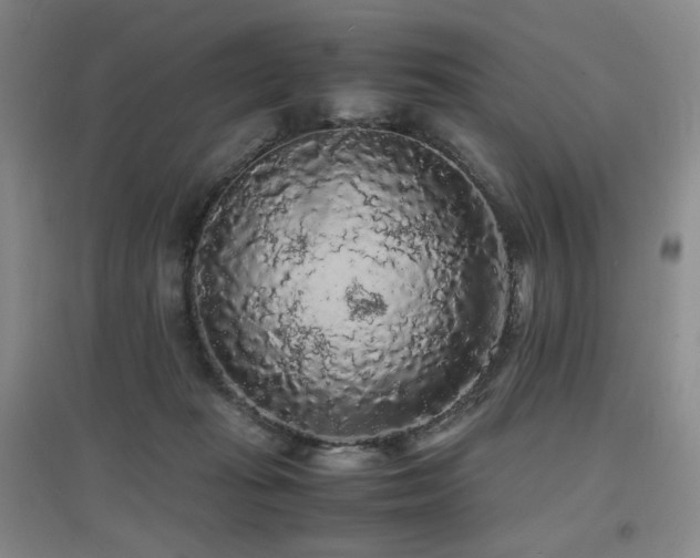X0000097620269200802291333