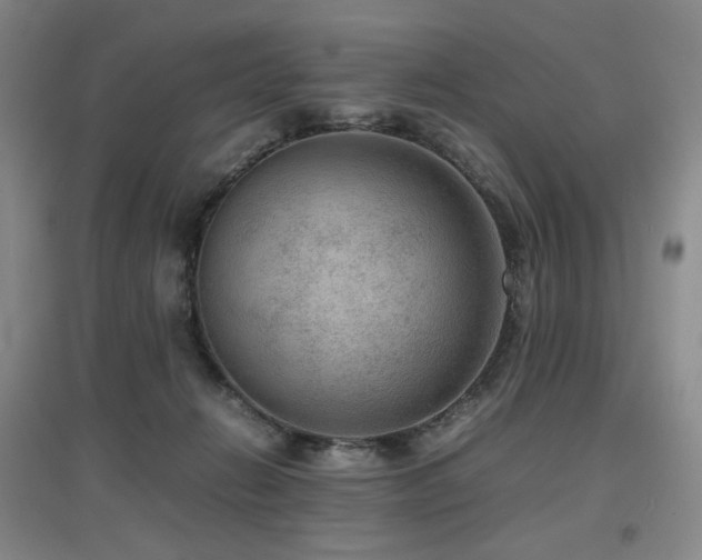 X0000097620270200802291333