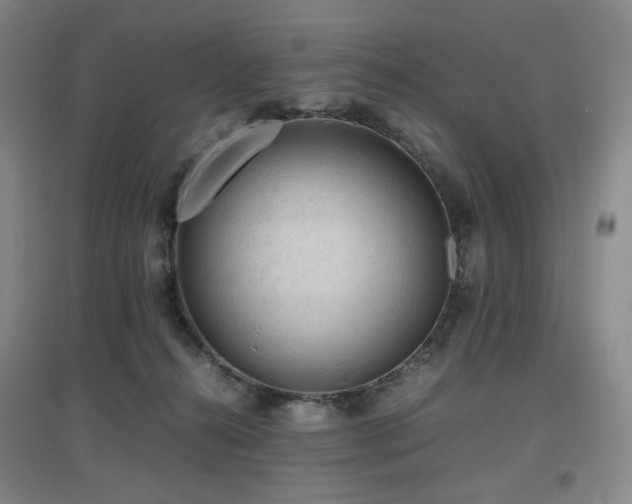 X0000097620272200802291333
