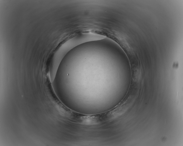 X0000097620273200802291333