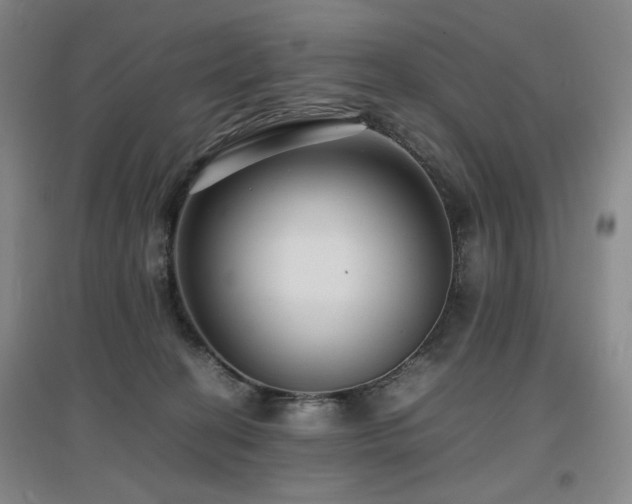 X0000097620274200802291333