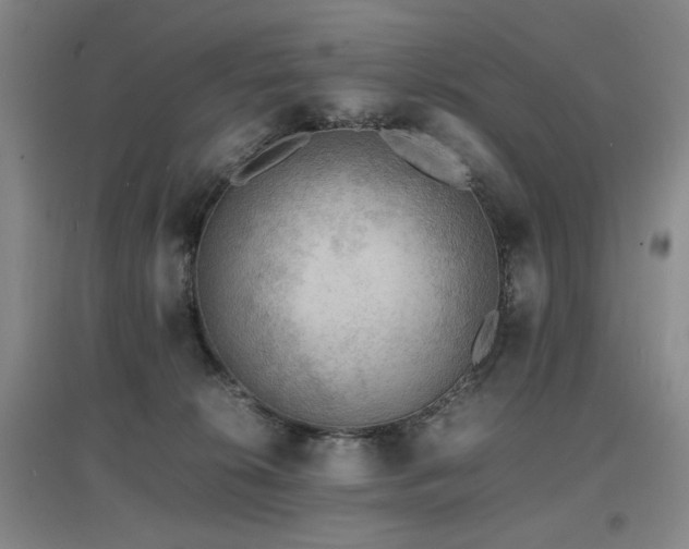 X0000097620276200802291333